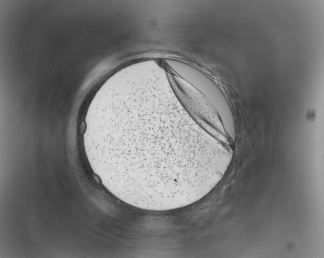 X0000116430296201001191516