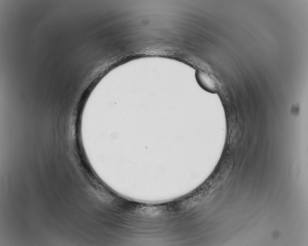 X0000116430299201001191516