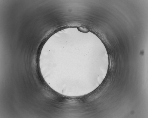 X0000116430300201001191516