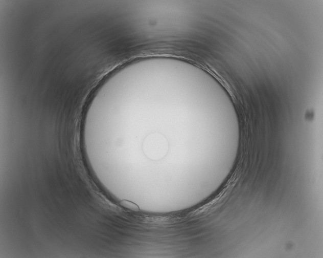 X0000116430301201001191516