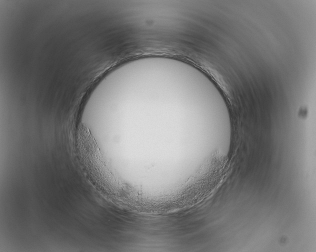 X0000116430305201001191516