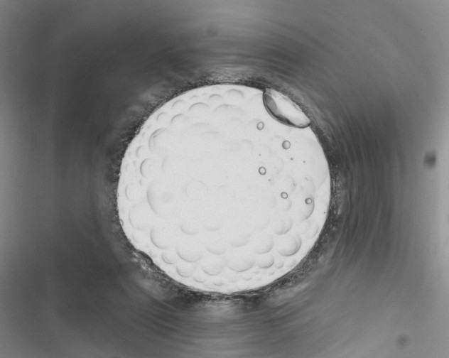 X0000116430307201001191516