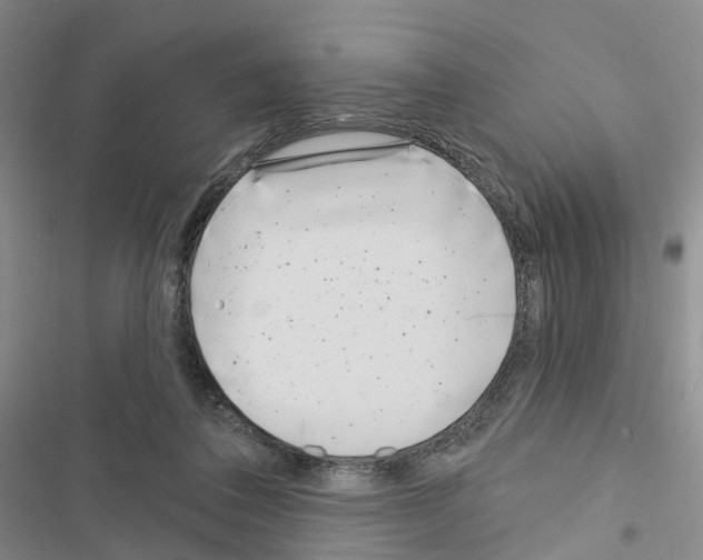 X0000116430308201001191516