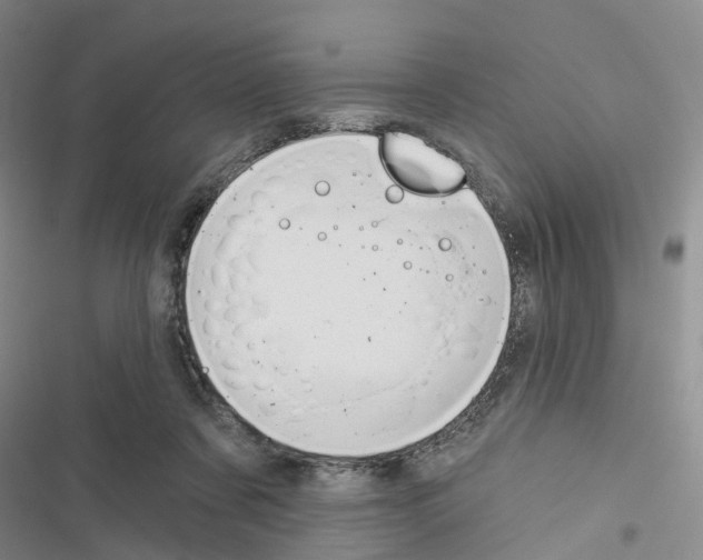 X0000116430311201001191516