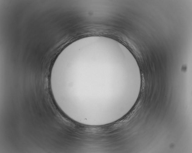 X0000116430313201001191516