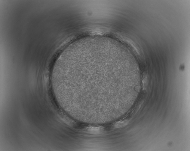 X0000116430314201001191516