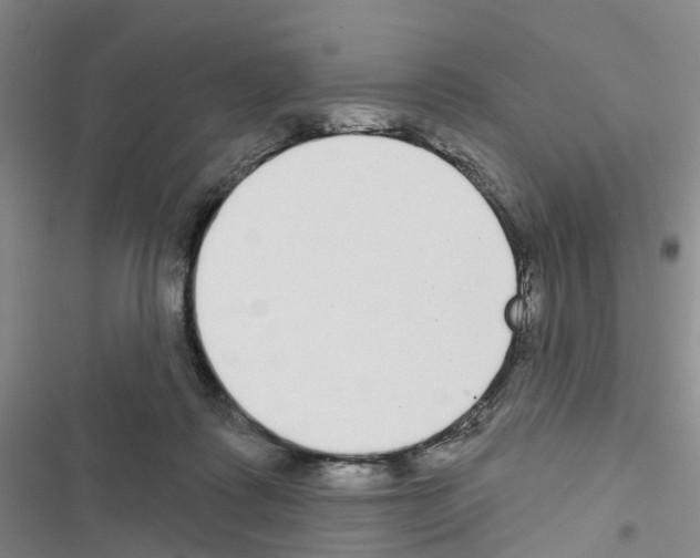 X0000116430315201001191516