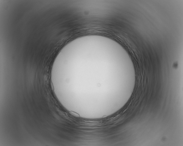 X0000116430316201001191516