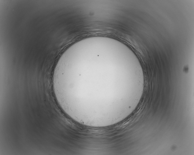 X0000116430317201001191516