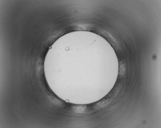 X0000116430318201001191516