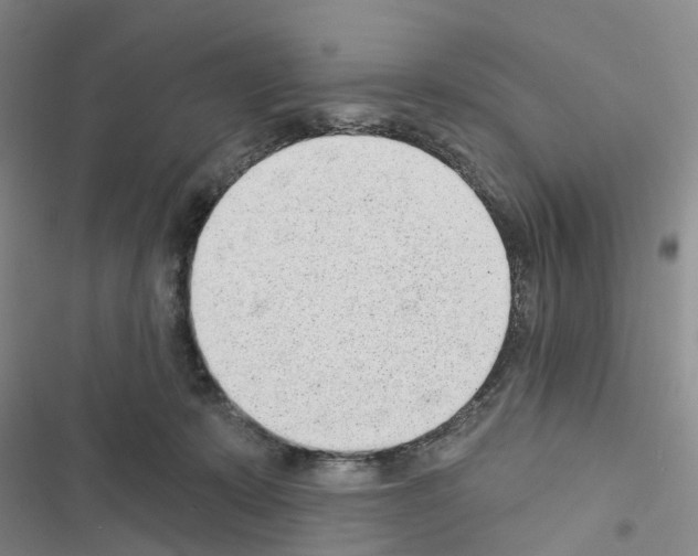 X0000116430319201001191516