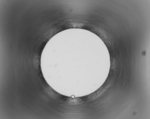 X0000116430321201001191516