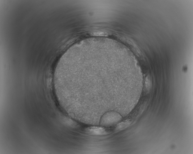 X0000116430322201001191516