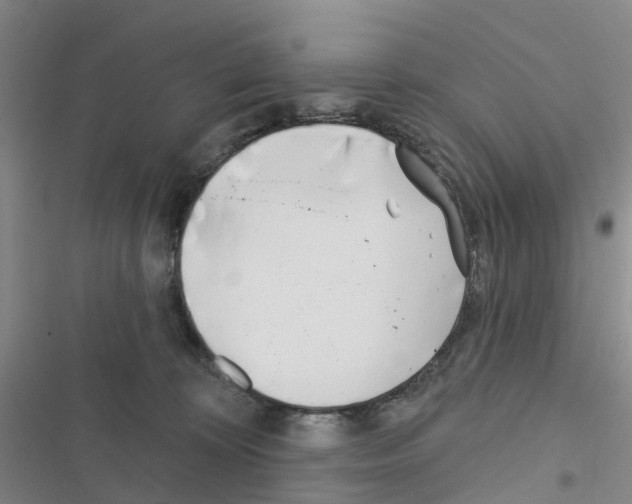 X0000116430324201001191516