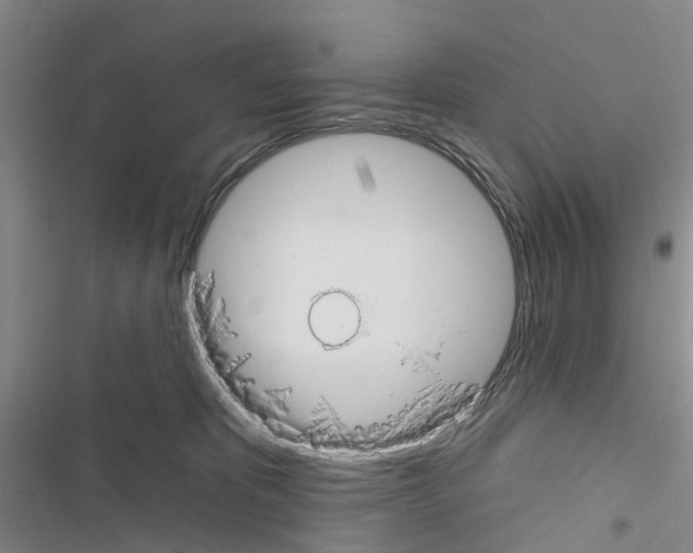 X0000116430325201001191516