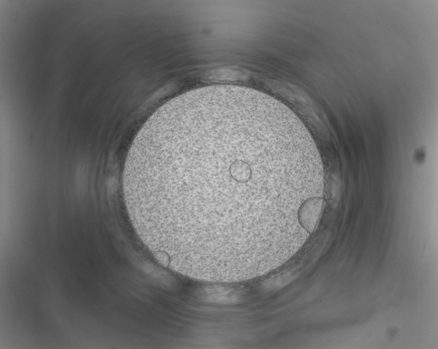 X0000116430326201001191516