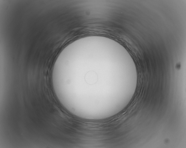 X0000116430327201001191516