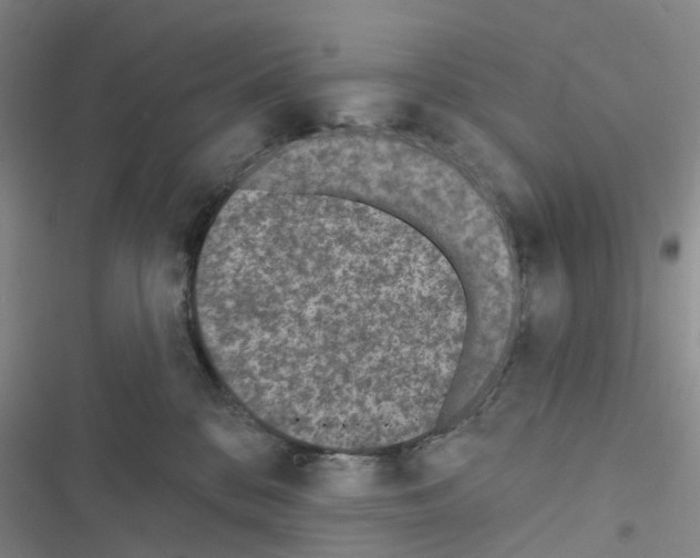 X0000116430328201001191516