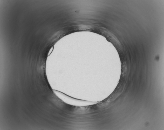 X0000116430329201001191516