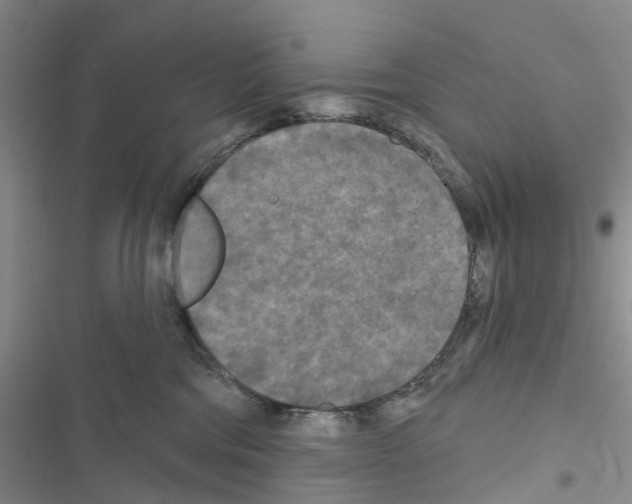 X0000116430330201001191516