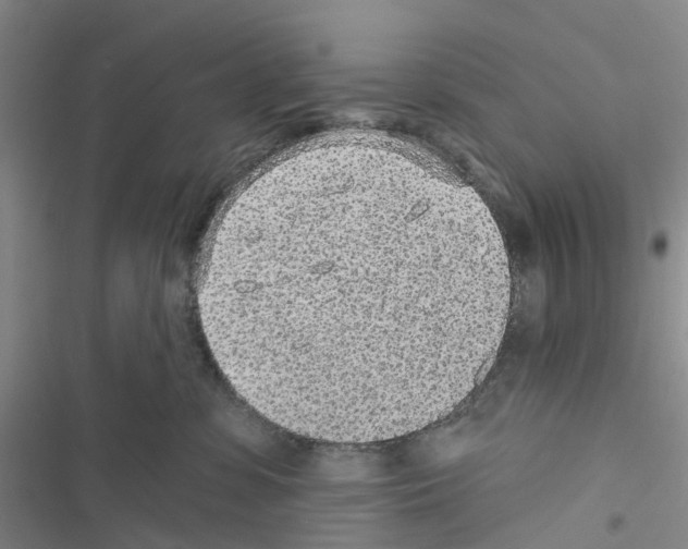 X0000116430331201001191516