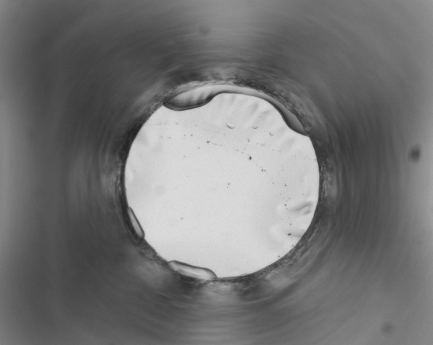 X0000116430332201001191516