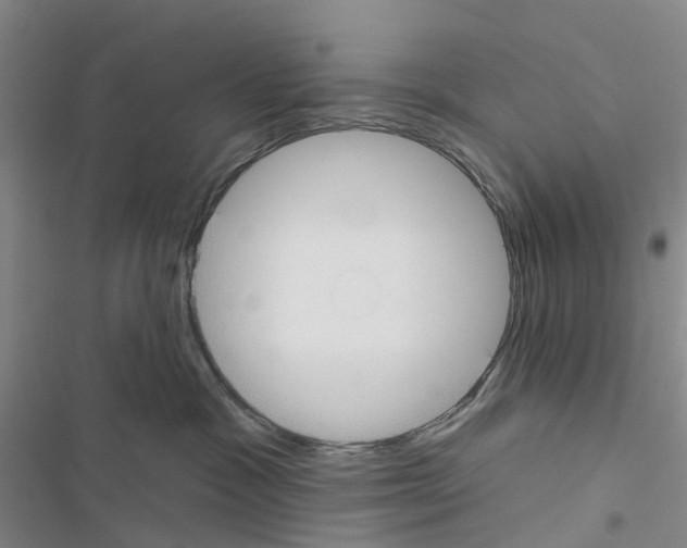 X0000116430333201001191516