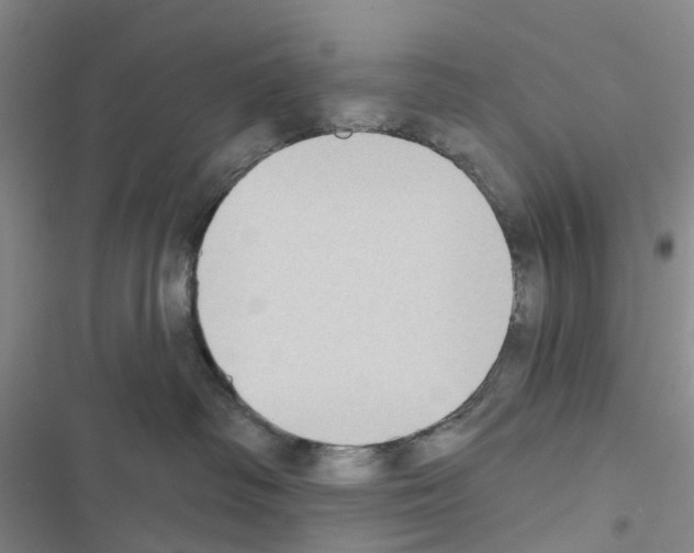 X0000116430334201001191516