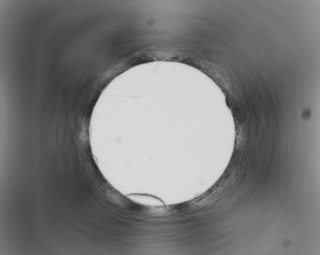 X0000116430335201001191516