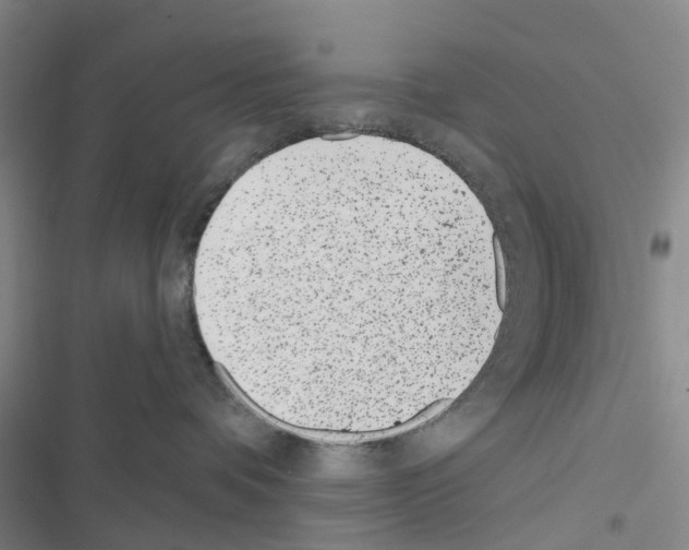 X0000116430336201001191516