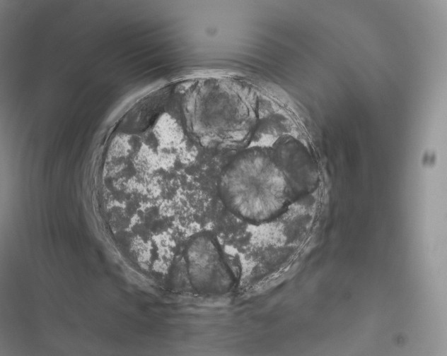 X0000116430337201001191515
