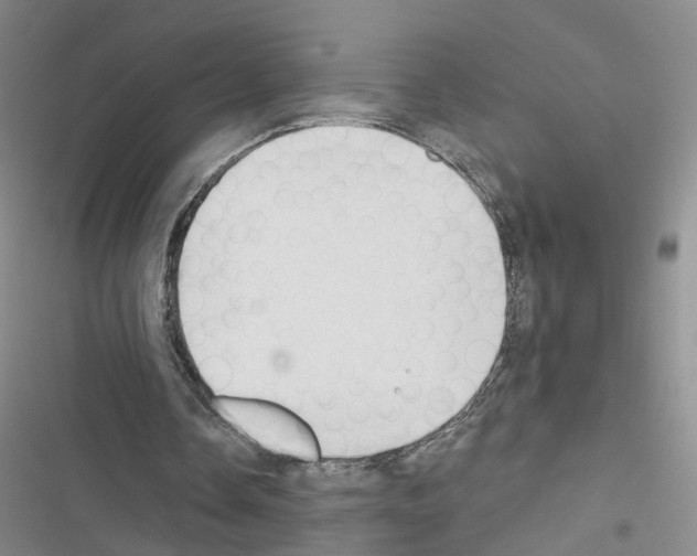 X0000116430338201001191515