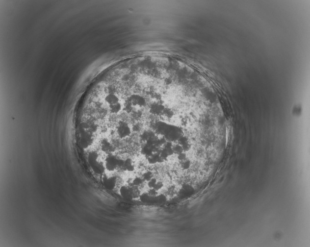 X0000116430339201001191515