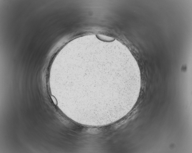 X0000116430341201001191515