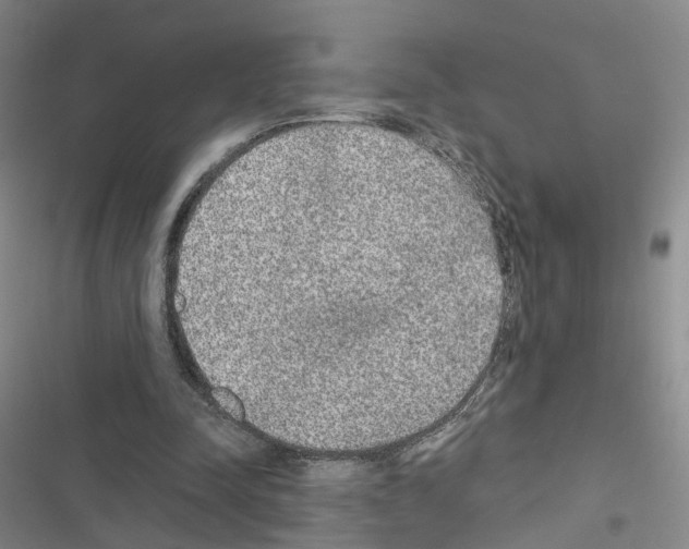 X0000116430342201001191515