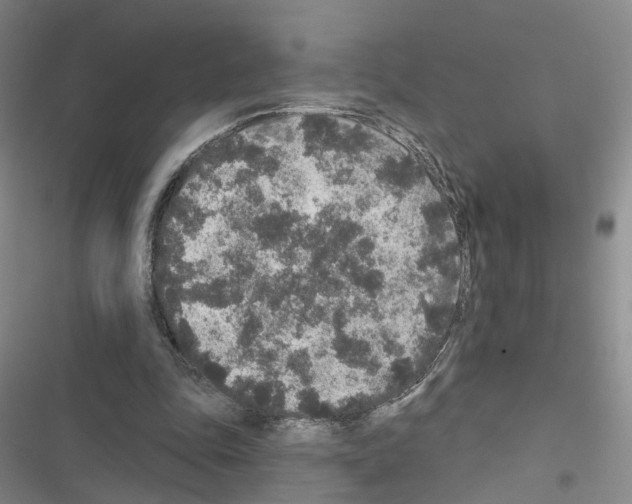 X0000116430343201001191515