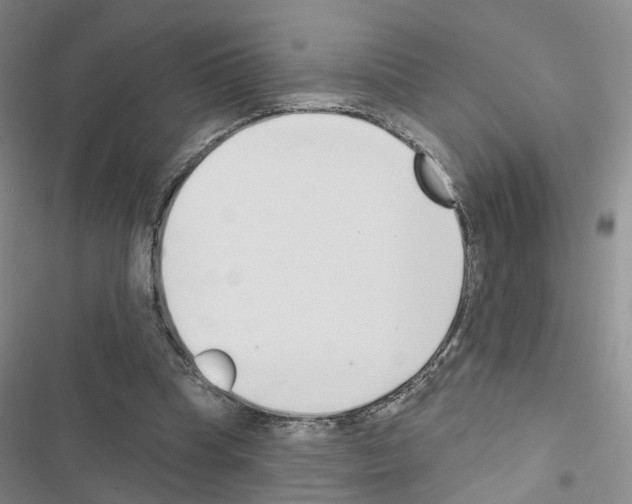 X0000116430345201001191515