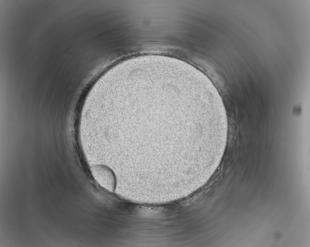 X0000116430346201001191515