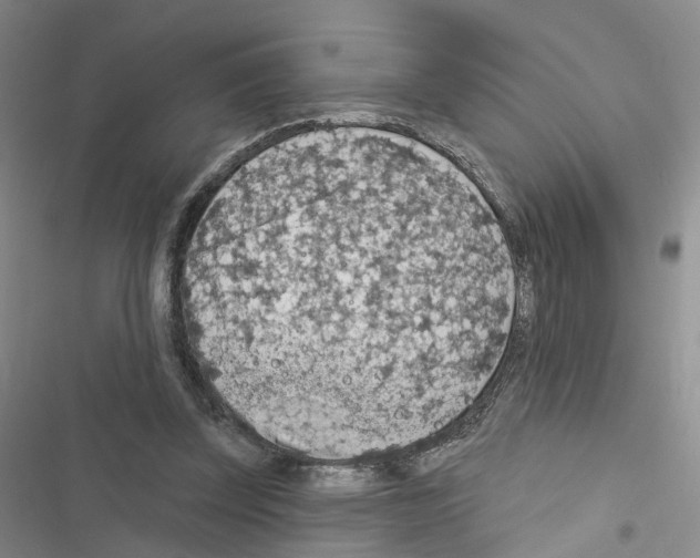 X0000116430347201001191515