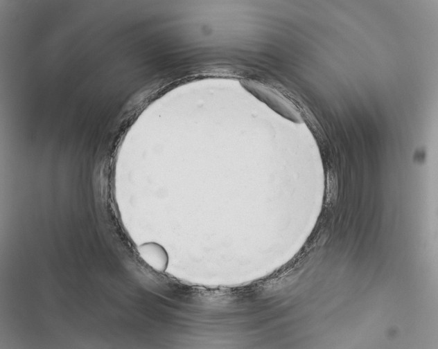 X0000116430349201001191515