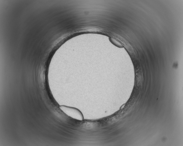 X0000116430350201001191515