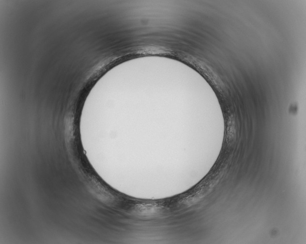 X0000116430351201001191515