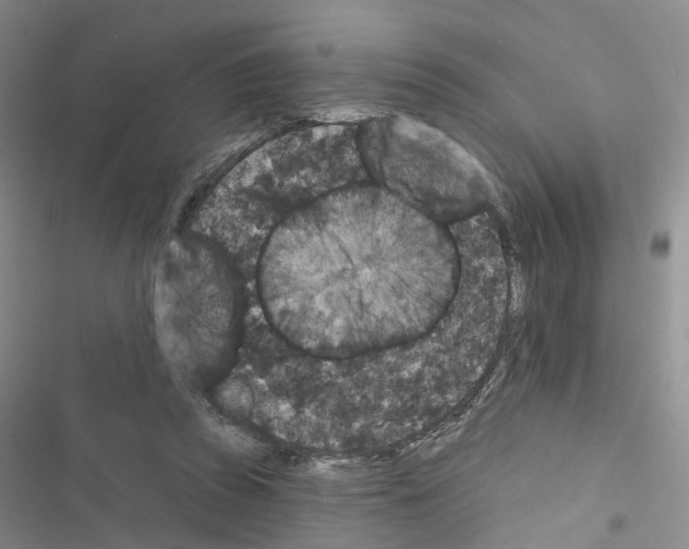 X0000116430353201001191515