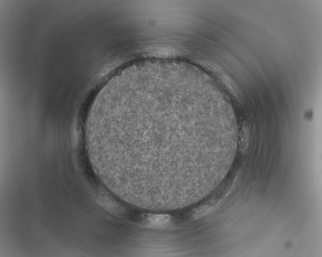 X0000116430355201001191515