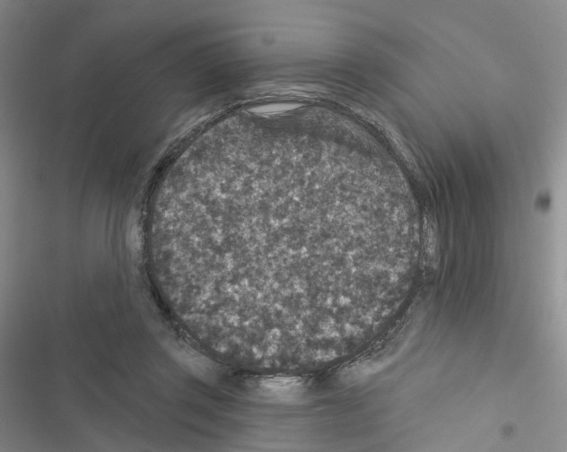 X0000116430357201001191516