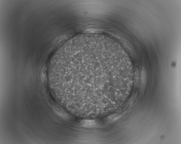 X0000116430361201001191516