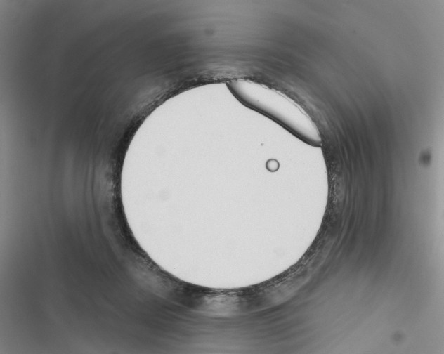 X0000116430362201001191516