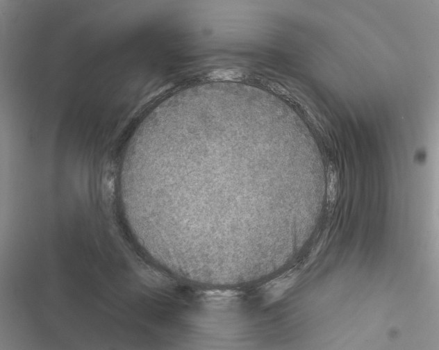 X0000116430363201001191516
