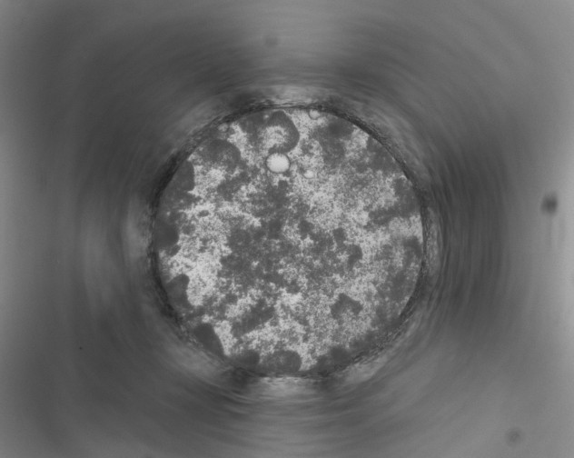 X0000116430367201001191516