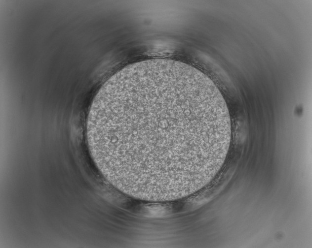 X0000116430370201001191516